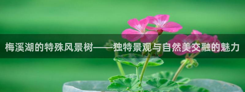 天顺娱乐奈943994