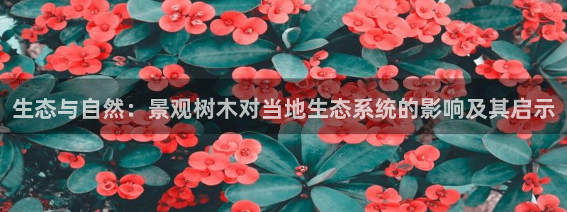 天顺娱乐心野29999