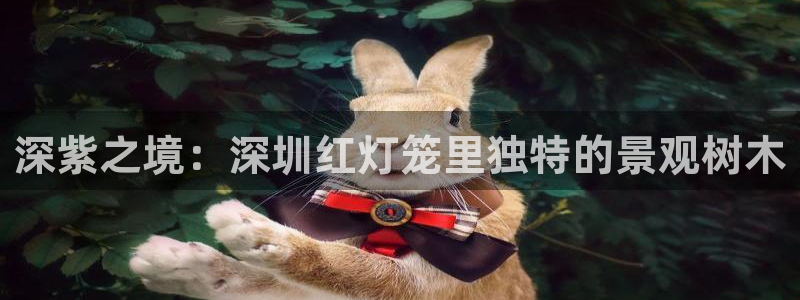 天顺娱乐仆3300