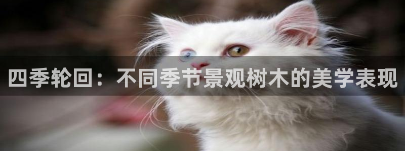 天顺娱乐尤7O667