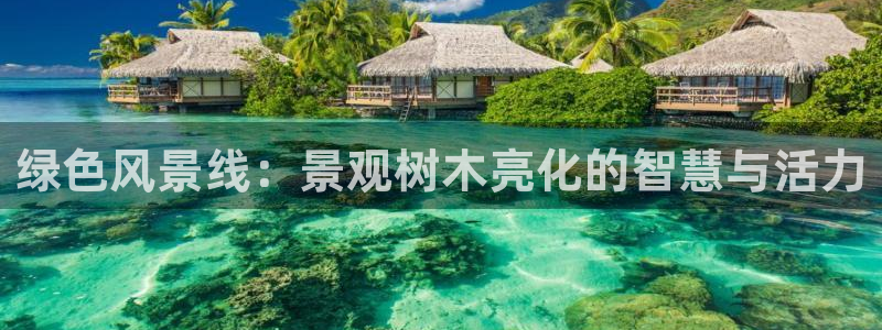 天顺娱乐万v96303：绿色风景线：景观树木亮化的智慧与活力