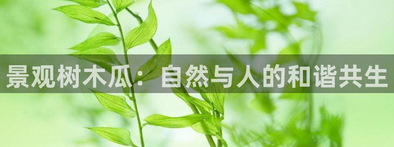 天顺娱乐淤3300：景观树木瓜：自然与人的和谐共生