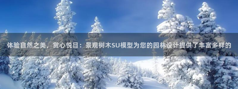 天顺娱乐拖72 559