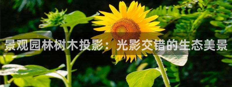天顺娱乐律78778